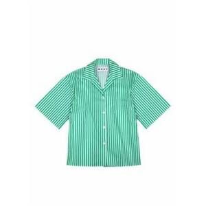 NEW WRAY women's bowen shirt in fern stripe